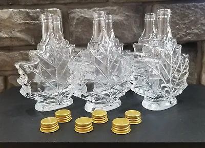 New Empty Maple Leaf Shaped 6 Pc Embossed Glass Syrup Bottle Jar W/ Lid 8 OZ. • $38