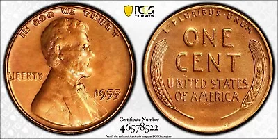 1955 1C Lincoln Cent Penny Double Die Obverse PCGS GOLD SHIELD AU Detail 1325 • $2050