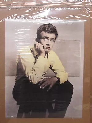 Vintage James Dean 1990 Icon Poster 18550 • £43.43