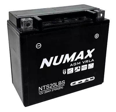 NTS20L-BS Sealed Numax Motorbike Battery YTX20L-BS Compatible 12V 20AH • £48.99