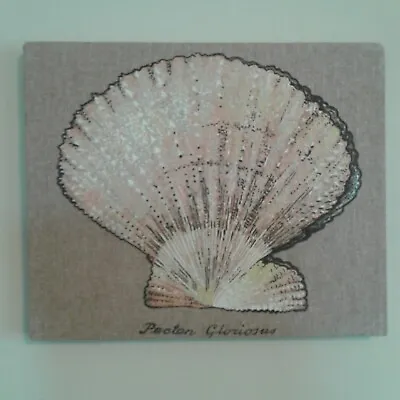 Shell Fabric Wall Hanging Art Pectin Gloiosus Textile Screen Print Sea Scallop • $19