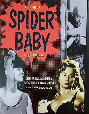 Spider Baby (DVD 1999) • $7.14