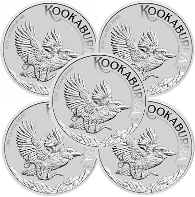 Lot Of 5 - 2024 Australia Kookaburra 1 Oz .9999 Fine Silver Coin BU - In Capsule • $164.79