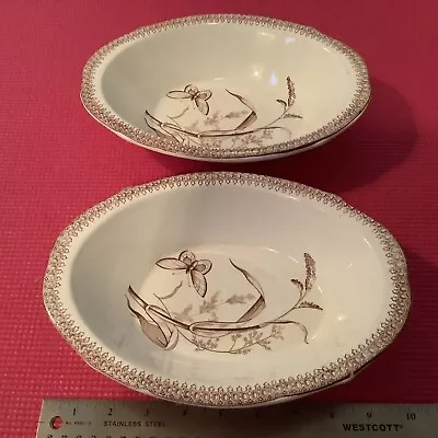 T & R Boote Summertime 1878 - 2 Large Serving Bowls 10” Long X 7” Wide X 2.5 “ H • $100