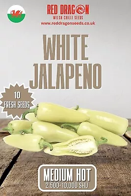 White Jalapeno Chilli Seeds - 10 Fresh White Jalapeno Pepper Seeds • £3.99