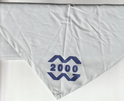 £1.50 • Buy Scout Necker Country Unknown - Has 2000 And Two Wavy Lines On It  (NK)