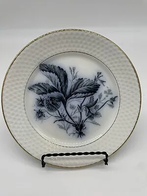 Petrus Regout Maastricht Fruit Strawberries Salad Plate Black White Transfer • $24.75