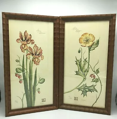 £84.66 • Buy Lyndi Lende Iris Sibirica & Wild Poppy Signed & Numbered Floral Art Cottage Core