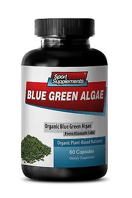 Brain Function - Organic Blue Green Algae 500mg - Many Vital Enzymes Capsule 1B  • £20.40