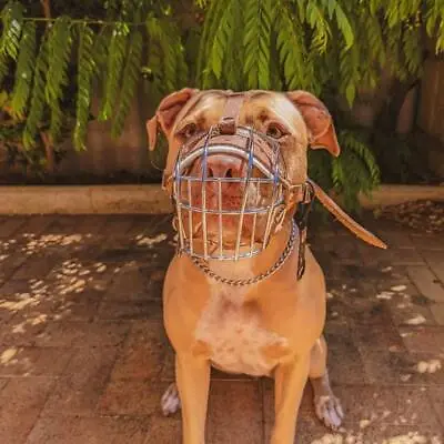 £22.50 • Buy New Strong Metal Wire Basket Dog Muzzle Amstaff Pit Bull, Bull Terrier Size 4, 5