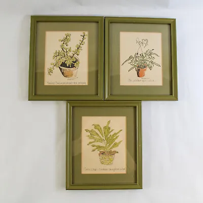 Set Of 3 Vintage Wendy Wheeler House Plant Framed Drawings Prints Avocado Green • $34.29