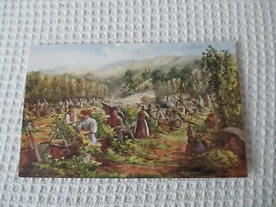 Colour Postcard Kentish Hop Picking - Hop Pickers At Work By C. Essenhigh Cork • £1.99