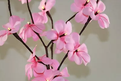 Pink Frangipani Bunch Flower LED Light 20 Buds Table Vase Centrepiece Battery  • $29.95