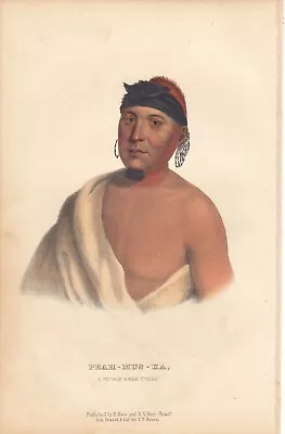 Rare McKenney And Hall Octavo Portrait Print 1855: PEAH-MUS-KA. Musquakee Chief • $59.99