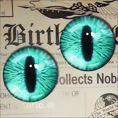 Glass Eyes Reptile Monster Taxidermy Eyeballs 15mm • $8.99