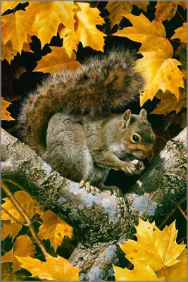 Carl Brenders GOLDEN SEASON Grey Squirrel Art Print ARTIST PROOF A/P#1/56 • $795