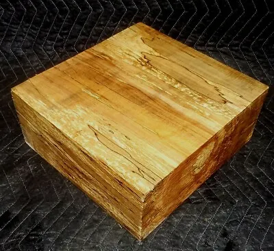  12 ×12 ×5¼  Large Thick Spalted Ambrosia Maple Bowl Turning Blank.Carving Wood • $68.99