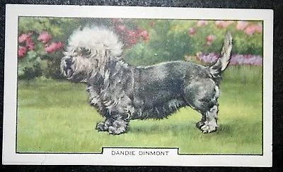 £3.99 • Buy DANDIE DINMONT  Original 1930's  Coloured Card  PC05