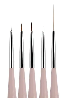 5pcs Nail Art Liners Striping Brushes Fine Line Drawing Detail Painting Blending • $9.99