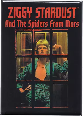 Magnet - David Bowie Ziggy Stardust Spiders Mars Rock Music Refrigerator #31230 • $7.75