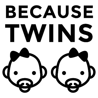 Vinyl Decal Car Truck Sticker Funny Mom Quotes - Baby Girls Because Twins • $400