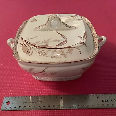 T & R Boote Summertime 1878 - Large Covered Bowl 9” Long X 7” Wide X 5.5” High • $75