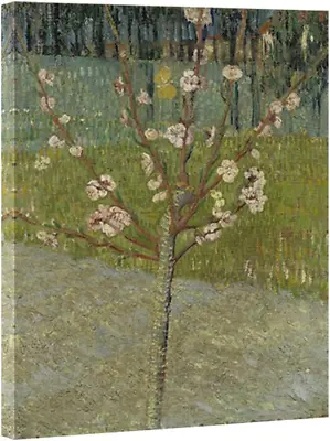 Almond Tree In Blossom By Van Gogh Famous Oil Paintings Reproduction Classic Can • $20.66