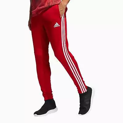 Men's Tiro 19 Training Track Pant • $24.99