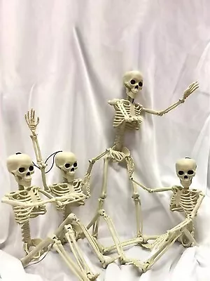 1pc Skeleton Anatomy Model Medical Study Tool Halloween Party Decoration Sket • $15