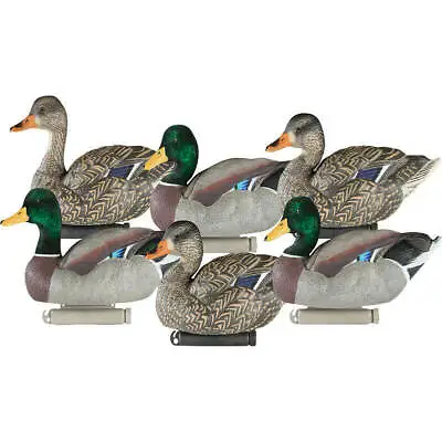 Dakota Decoys X-Treme Mallards 6 Pack • $94.99