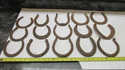 $39.99 • Buy 15 Old Antique  Good Luck Rusty  Kansas Farm Horse Shoe Lot D