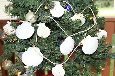 Large White Scallop Seashells Christmas Tree Beach Garland 68  + G-89 • $25.54