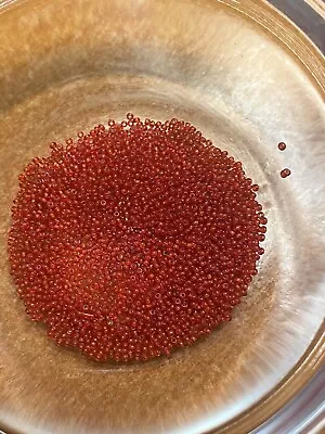 Tiny Antique/Vintage Micro Seed Beads- 18/0-20/0 Transparent Light To Medium Red • $5.95