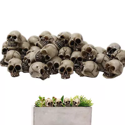 Skeleton Head Mini Skeleton Head 20 Pieces Small Mini Skulls Decor For Garden • $9.56