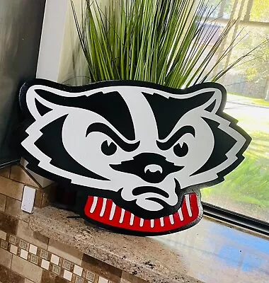 30  X 20  Wisconsin Badgers 3D Sign Layered Madison Football • $109