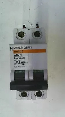 Merlin Gerin Multi9 C60 24-type D Miniature 2 Pole Circuit Breaker 24517 • $14.99