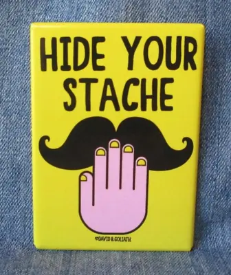 Hide Your Stache Magnet Souvenir Refrigerator Mustache David & Goliath MB125 • $7.88