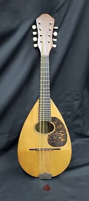 1916 C.F.  Martin Bowl Back Mandolin In Playable Mint Condition • $1895