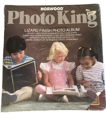 1980’s Photo King Album 100 Page 8x10 Size 3 Ring Binder Vtg K Mart Faux Lizard • $18.99