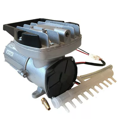 $87.21 • Buy DC12V Air Pump Aerator Aquarium Hydroponics Fish Tank Compressor 160L/M 120W