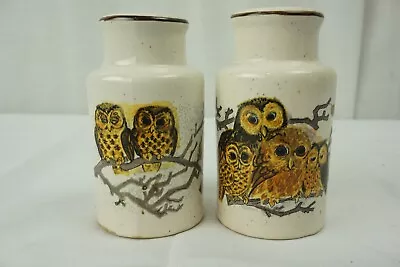 Owl Family Salt And Pepper Shakers Ceramic Enesco • $21.21