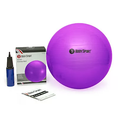 Body Sport Standard Exercise Ball With Pump Exercise Equipment For Home • $23.99