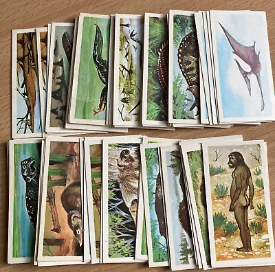 £0.99 • Buy Prehistoric Animals - Brooke Bond Tea Cards - Pick Your Cards!