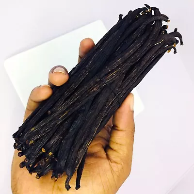 Plump Vanilla Beans Grade A 6 + Sri Lankan Organic BEST Vanilla Beans NEW Crop • $13.50