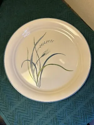 Corning (Corelle) Coastal Breeze Set Of 4 Dinner Plates 10 1/4  • $25