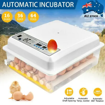 16/36/64 Egg Incubator Fully Automatic Egg Turning Hatcher Quail Chicken Duck AU • $89.99