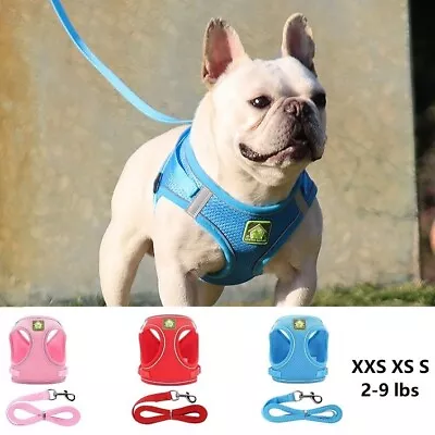 Dog Harness For French Bull Reflective Soft Mesh Vest Harness And Leads Set • £9.99