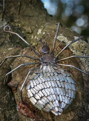 £32 • Buy Metal Spider Garden Ornament Sculpture Art - Wall Art Recycled Bug Insect