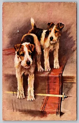 1938 Arthur Wardle Two Terriers On A Staircase Vintage Postcard • £9.63