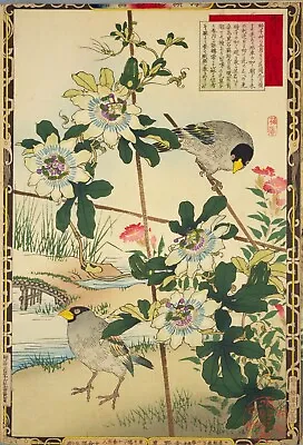 Birds Passion Flowers Vintage Kono Bairei Japanese Poster Botanical Print Art • £3.92